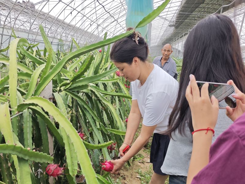 ԥ����������������ѧ��������ũ����