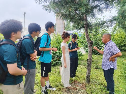 �ƻ�������������ʵ���ţ�һ����Խɽ�ӵ��ഺʵ���봫��