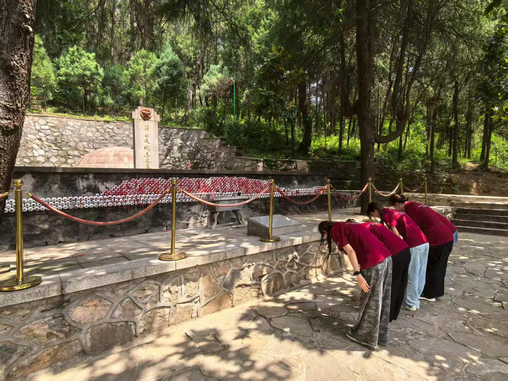 ̤�ú�ɫ���� ��������Ѫ�� ���� ������������ѧԺ���ʵ���Ӹ�����ɽ�볤������