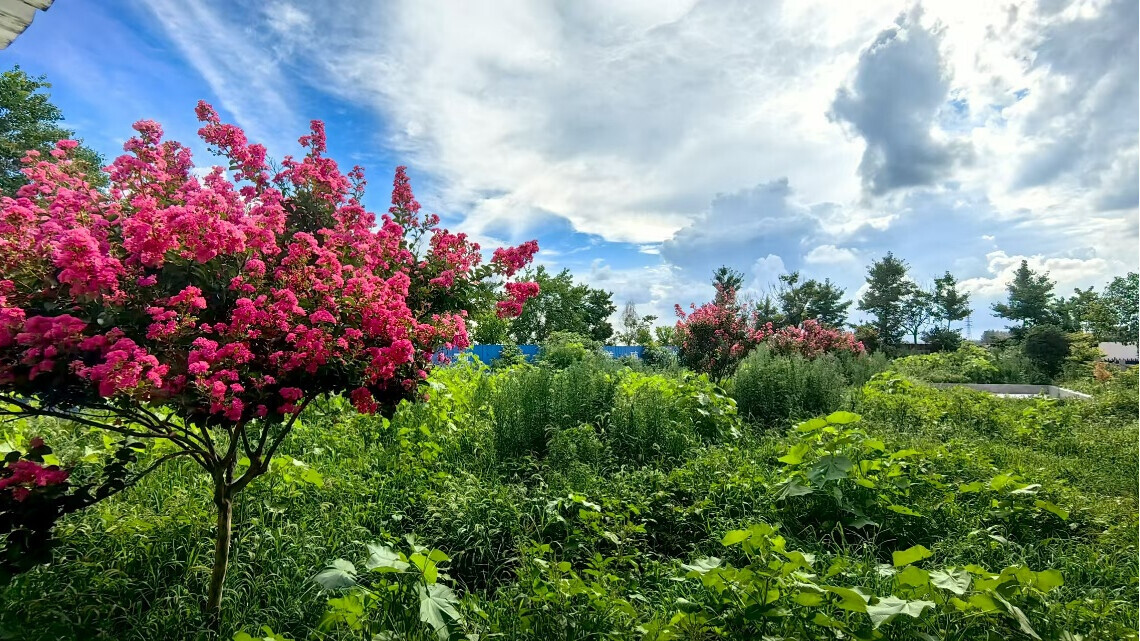 ��̬���������������֮· �������̬��Ʒ��ֵʵ����״��·������