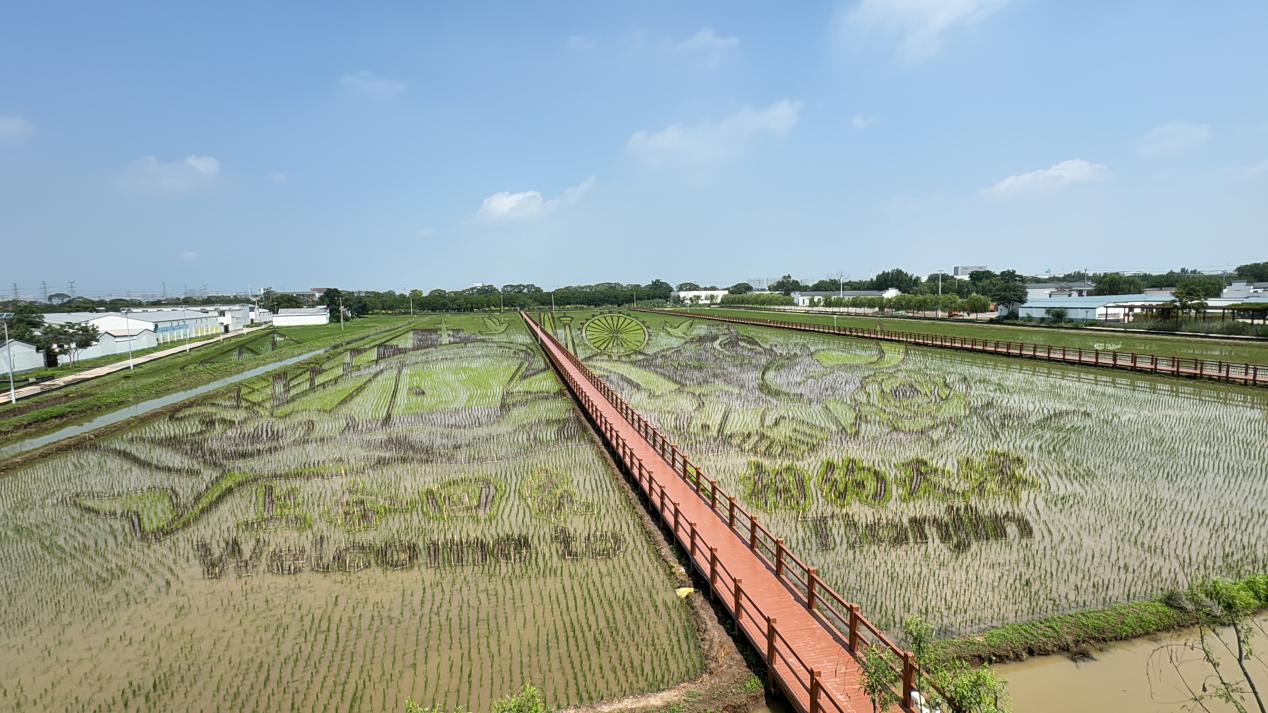 Сվ����Ʈ��ң��õ����˵���������ϻ�ݴ��ȼ��������ȳ�