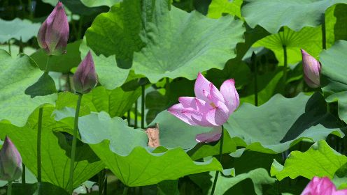 ����ѧԺ��ý���㡰������ʵ���Ÿ���������ɽ�����翪չ���ڡ������硱���ʵ���