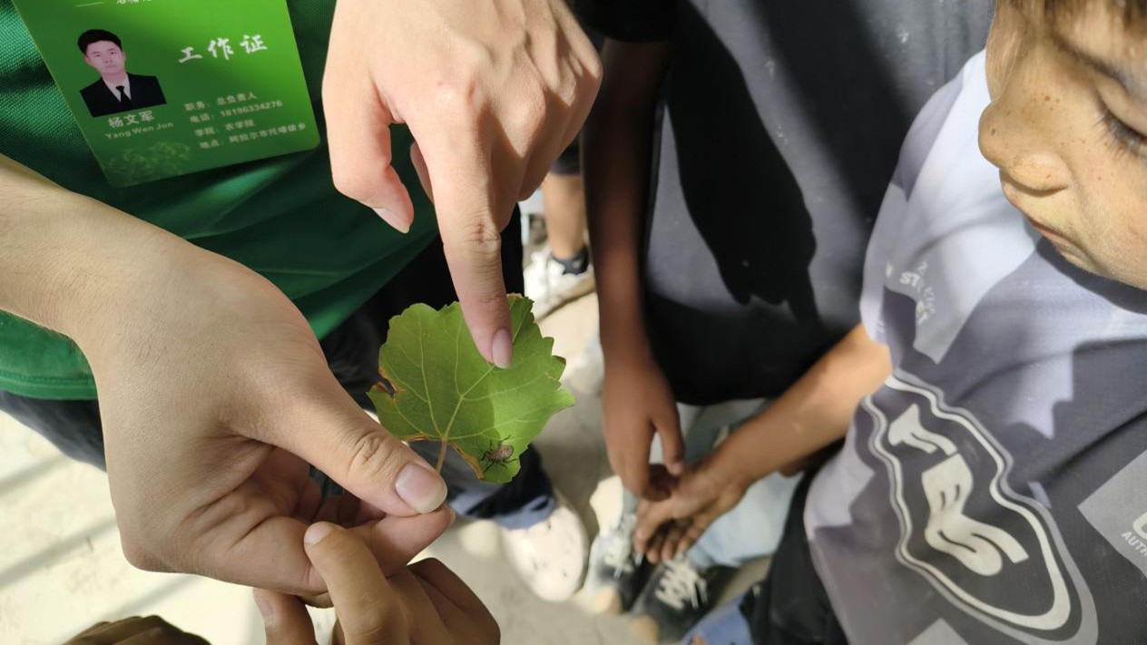 ��̽ũ����������ľ��ѧʯ�񻨿�ʵ���Ŷ�