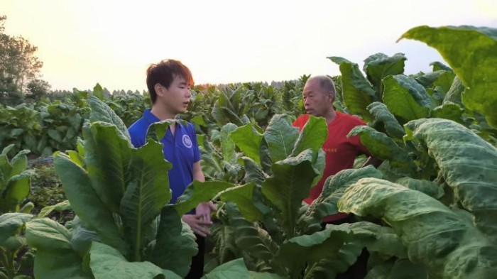 �ӿƴ�ũ��ѧ�ӣ�������д������������ഺ�����������