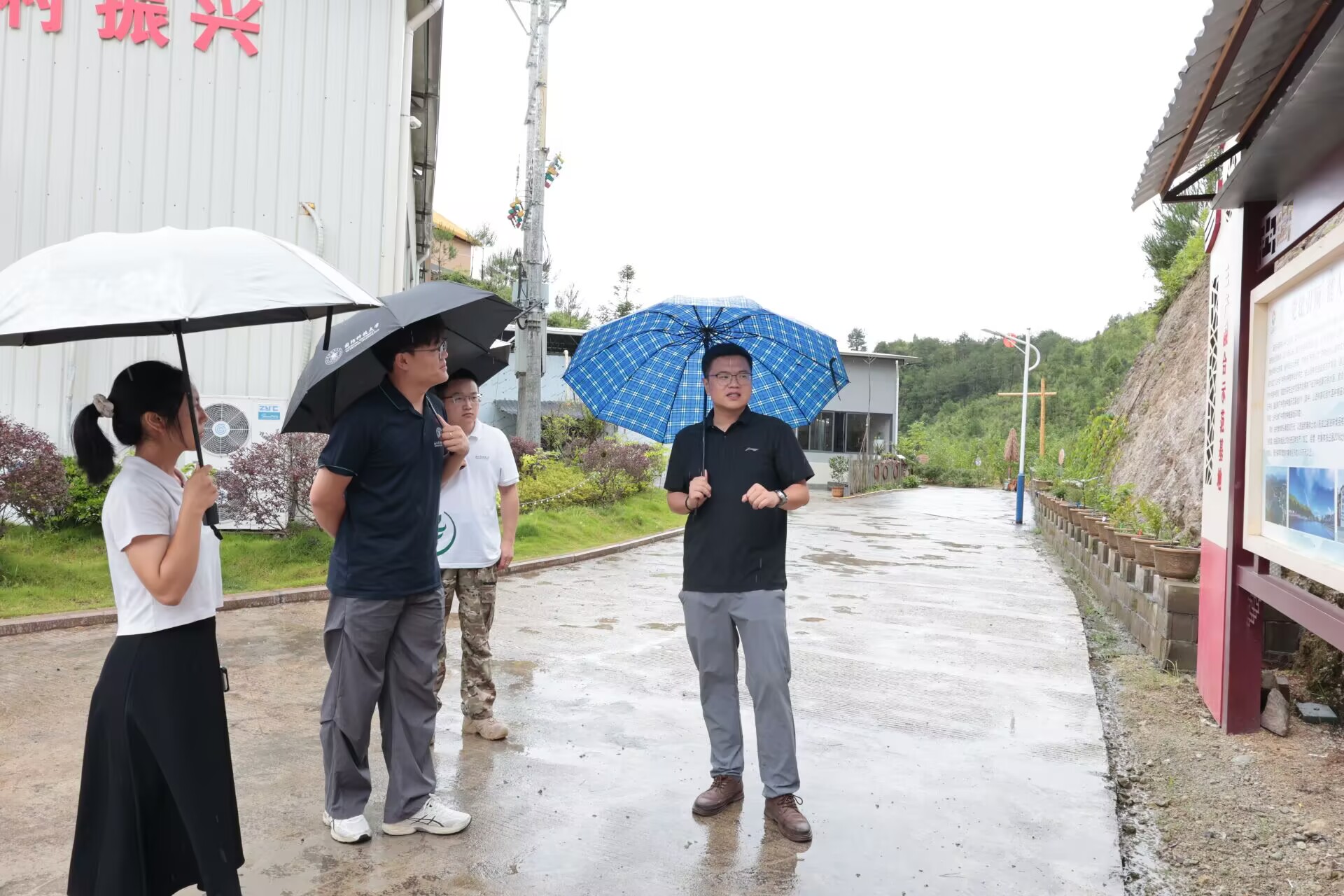 �ԡ���Ӯģʽ���������������������ÿƼ�����������������֮��