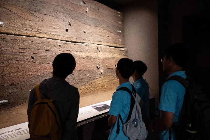 �Ӻ���ѧ���기����̽Ѱ�Ļ��������ɫ����