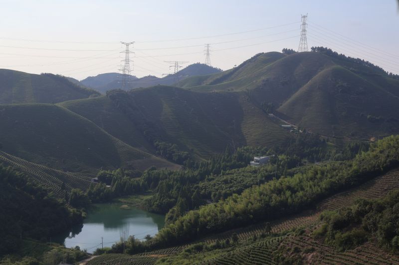 ������|�㽭�ƾ���ѧ���ѧԺ������������ҽ��ϡ���ũʵ���Ÿ���������ɽ�忪չʵ���