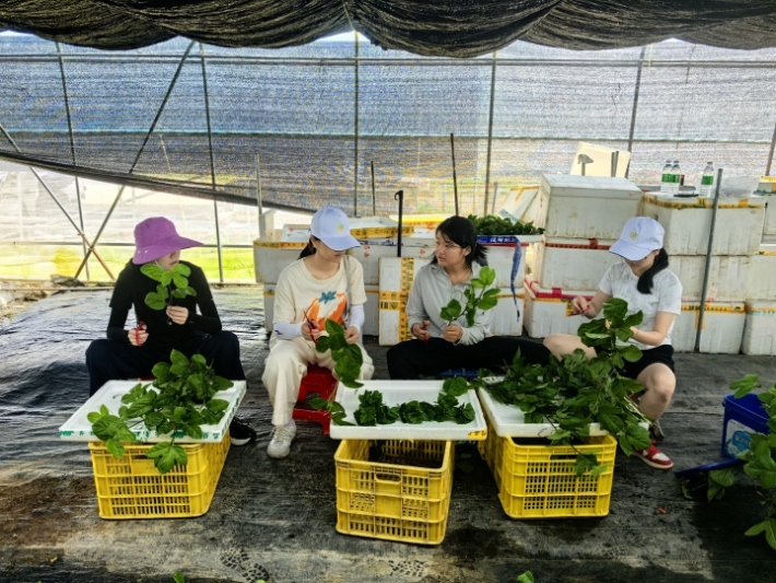 ����ѧ�������磺�۽��������ؼ䣬���ܰ����ȫ��ҵ��