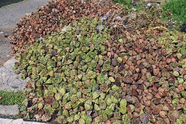 ������̬�����������������