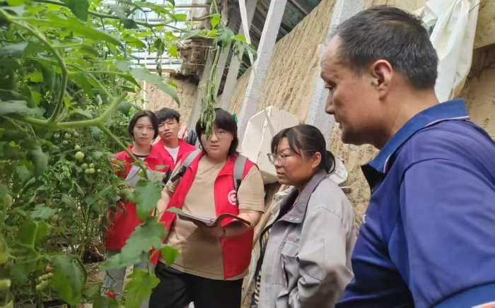 �ǻ�ӳ���� Ϋ��ְҵѧԺѧ��ʵ�����������������������