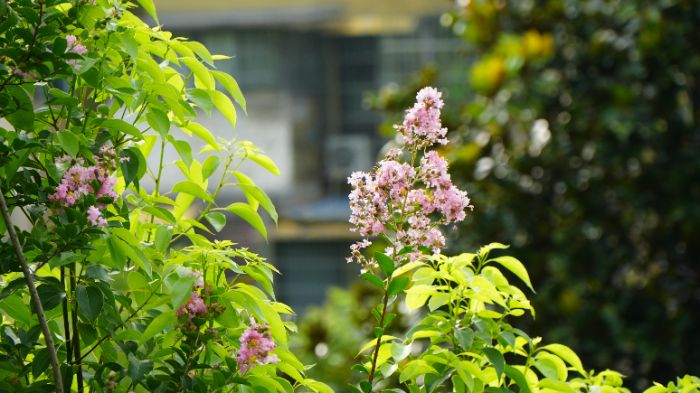 ��ɽ��԰��̬�ƿ������ഺ�������������й�����