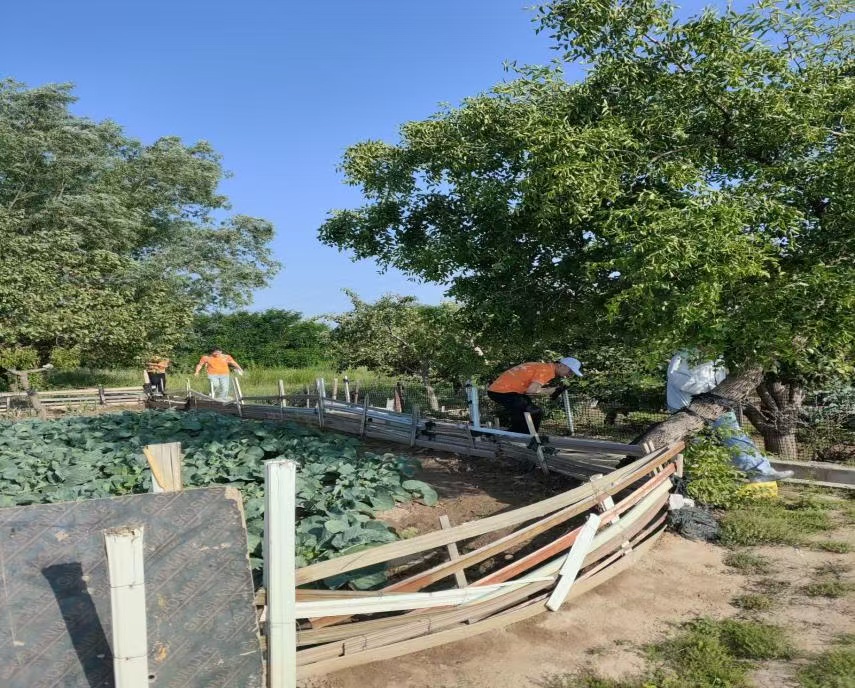 ��̽����֮����������֮�ꡱ���������ʵ������