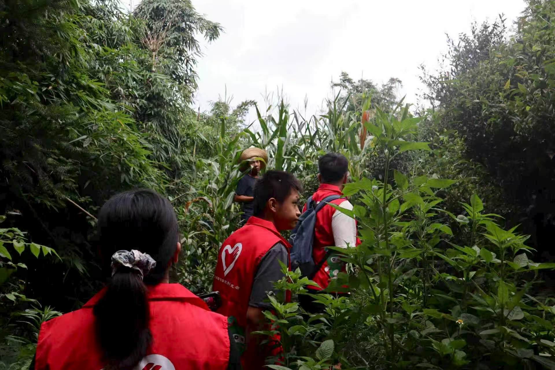 �����Ӎ@ɽ����ҵԣ���