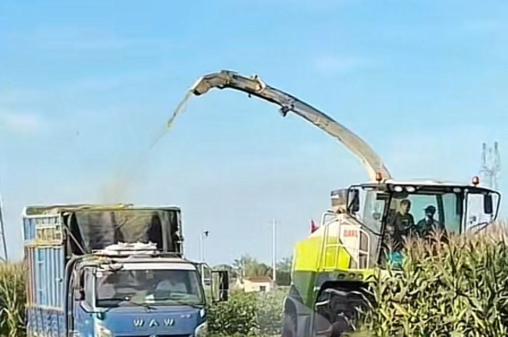 �ൺũҵ��ѧ��ҵѧԺ��ҵ�ȷ�ʵ������������ص����������������ɳ�����չ