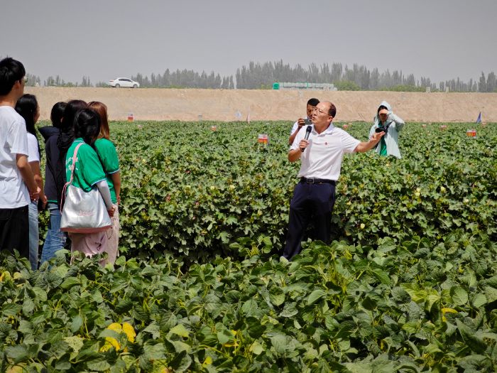 �۽��ݳ���������ʵ����ʵ����֤��̼ģʽ̼����Ч��