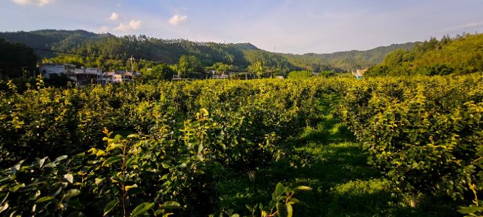 ���ഺ���������������ǵ������������