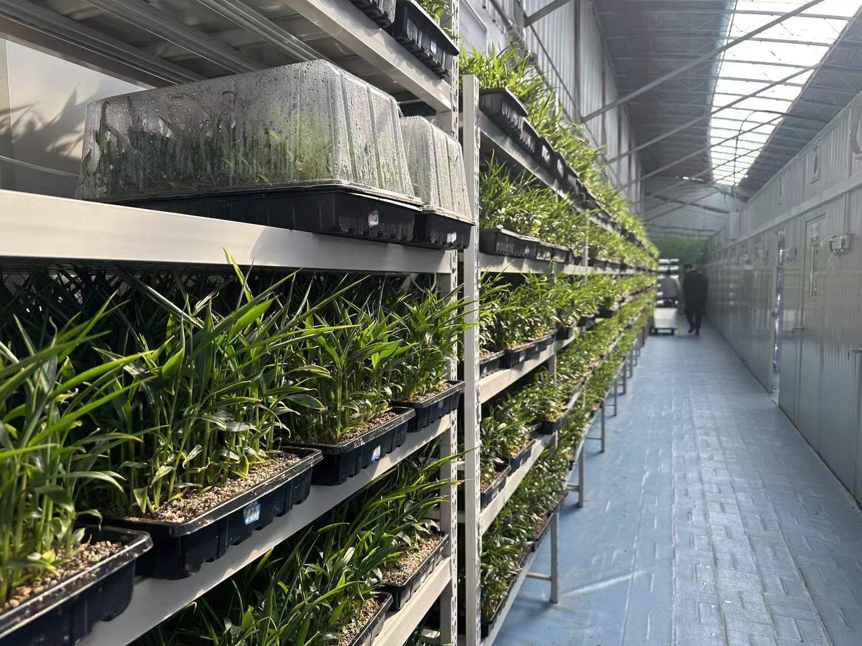 ��ƴ�ֽ����ᡯʵ���ӣ����ഺ����д��Ϋ����Ķ�������ɫ�����