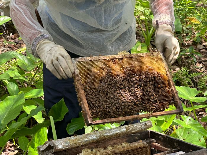 ���롰�ۡ�������ƮԶ�����������Ϲ�����ӡ�������ӿ�������ſ�չ��ͷ���۲�ҵ����