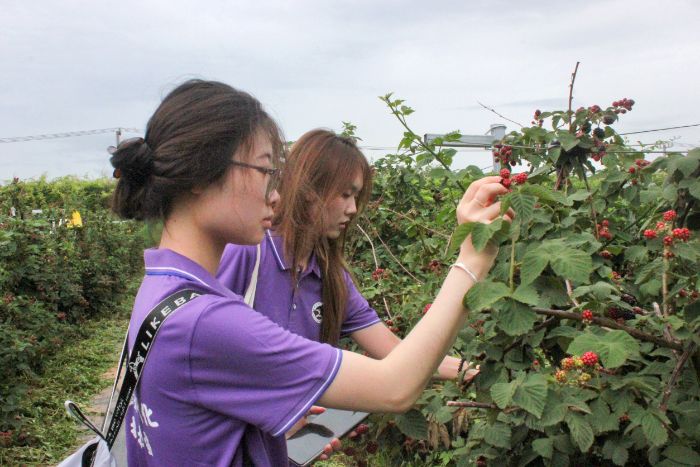 ��С��ʵ���˶��������ˡ� �������ݴ�ѧ����ѧԺ��ݮ��ٻ㣬�������硱�ŶӸ������ٻ�԰��ݮ���ؿ�չ�������ʵ��