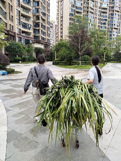 ������������ʵ���������磺���ഺ֮��������������֪ʶ֮�����ͯ��