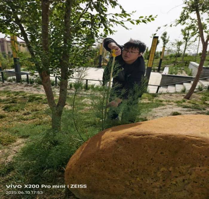 �߽�����ɳ���򡪡�̽���˾ӻ�������̬��Эͬ��չ