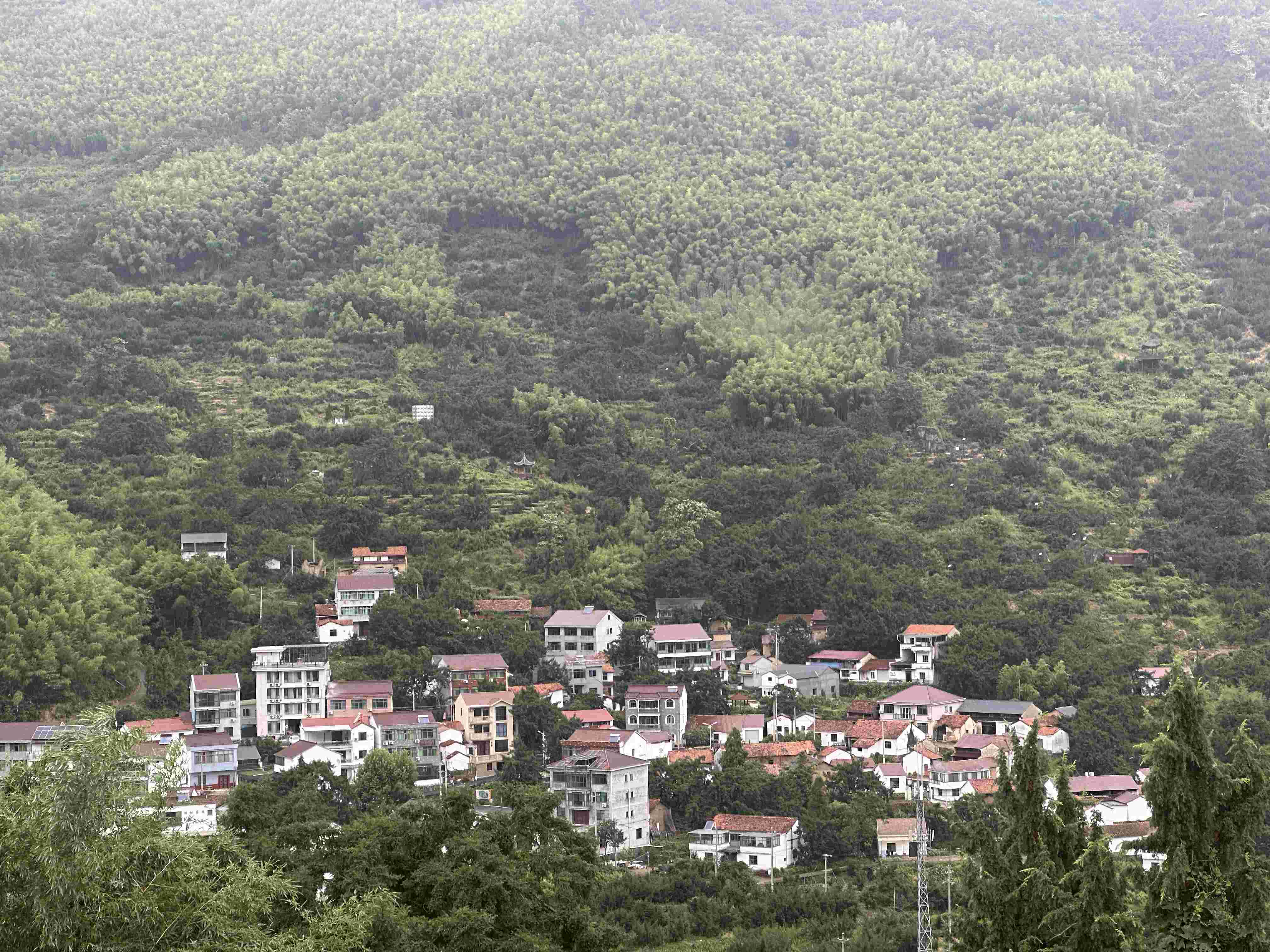 �ػ�Դͷ��ˮ���㽭ˮ��ˮ��ѧԺѧ�ӵ�������ɽ�壬�۽��㽭����ˮվ����ʹ�ѵ�