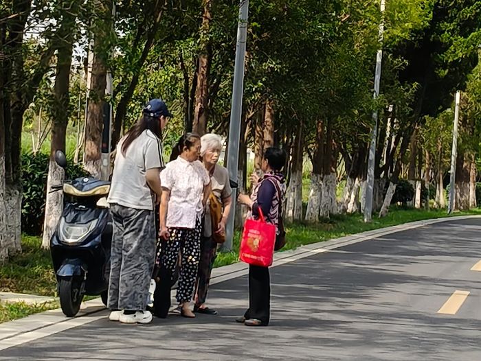 ���������ظĸө�����������