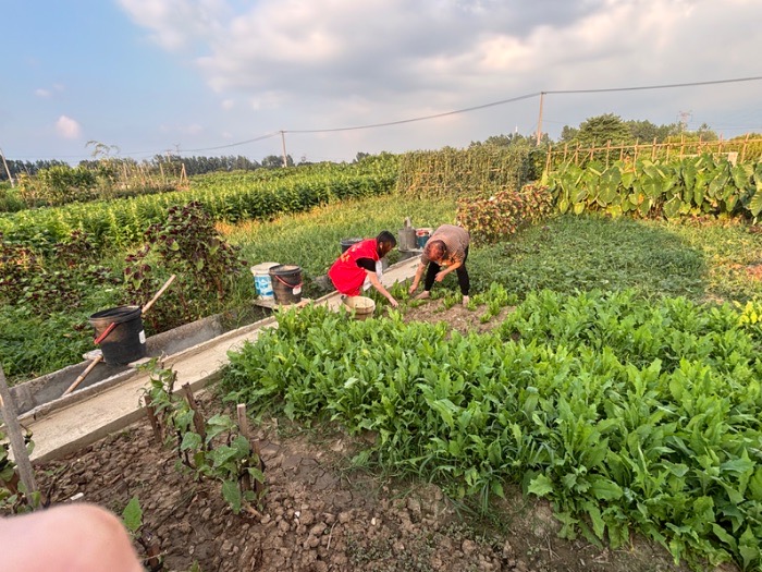 �Ƽ���ũ�����Ļ���