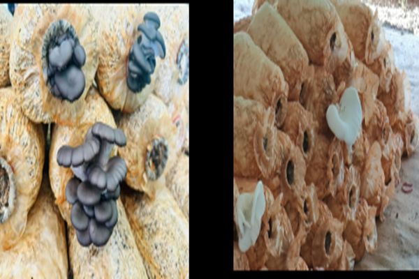 ���������������ȡ֮�е�