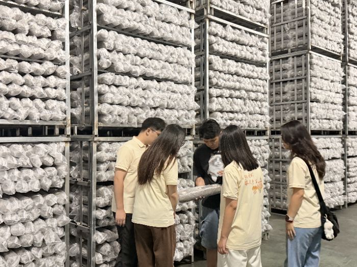 �����ƴ����ഺ�Ǵ�����ǧ�깽�� ����ѧ���ƾֲ�ҵ����