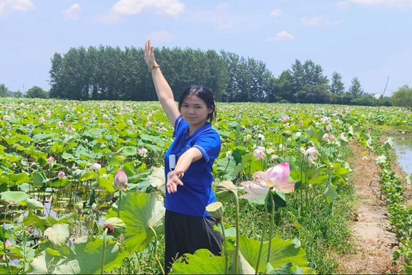 ������ҵѭ������ �ǻ۷�����������