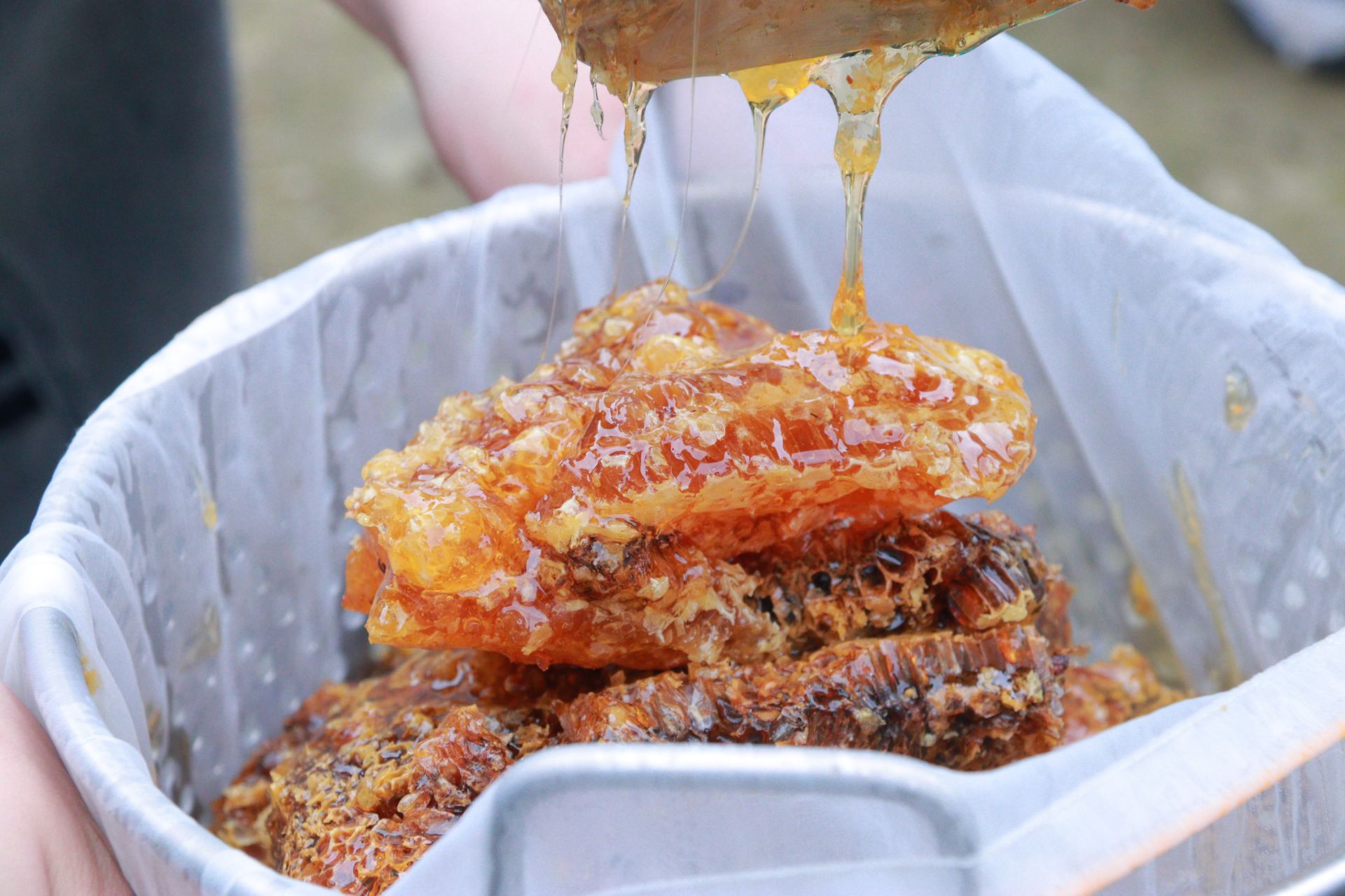 �ഺ��ũ�ƶ��ϣ�����Ʈ���ڹ���