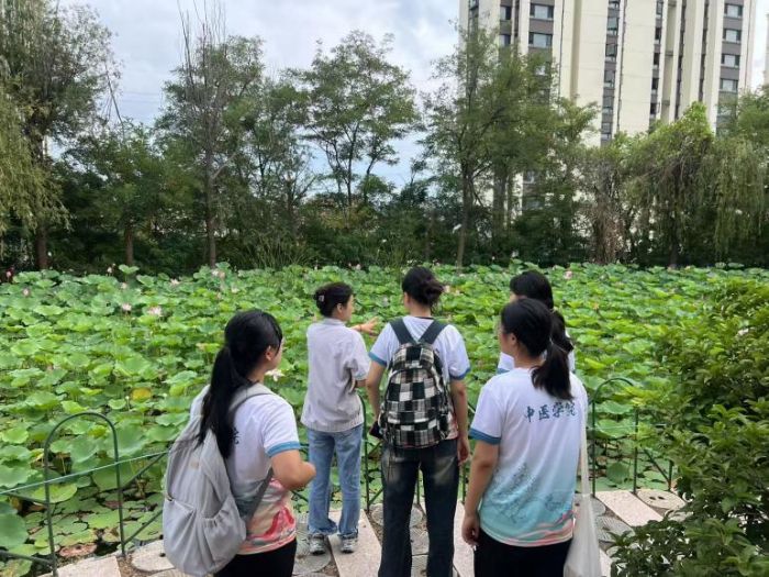 ��̤��Ѱҩ�ϣ�ѭ������硱 ����ɽ����ҽҩ��ѧ᪻��ݹ�Ѱ�����ൺ����ҩҵ�м�