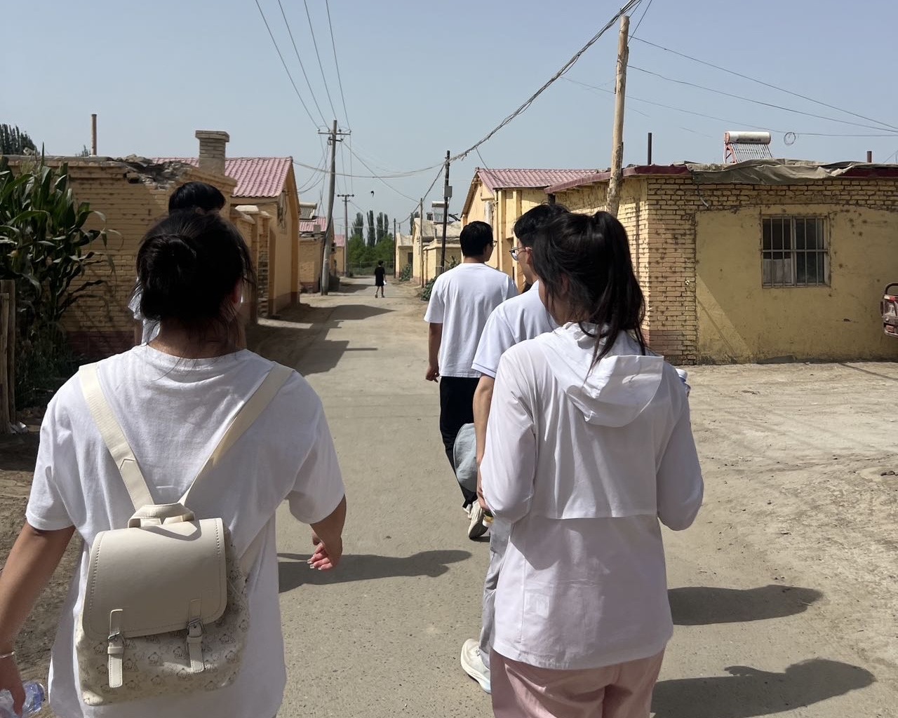 ��������ʮ����������ֲ���м�¼