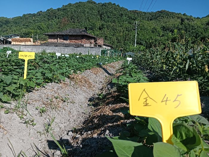 ������Դ�����֣���ȫ����������