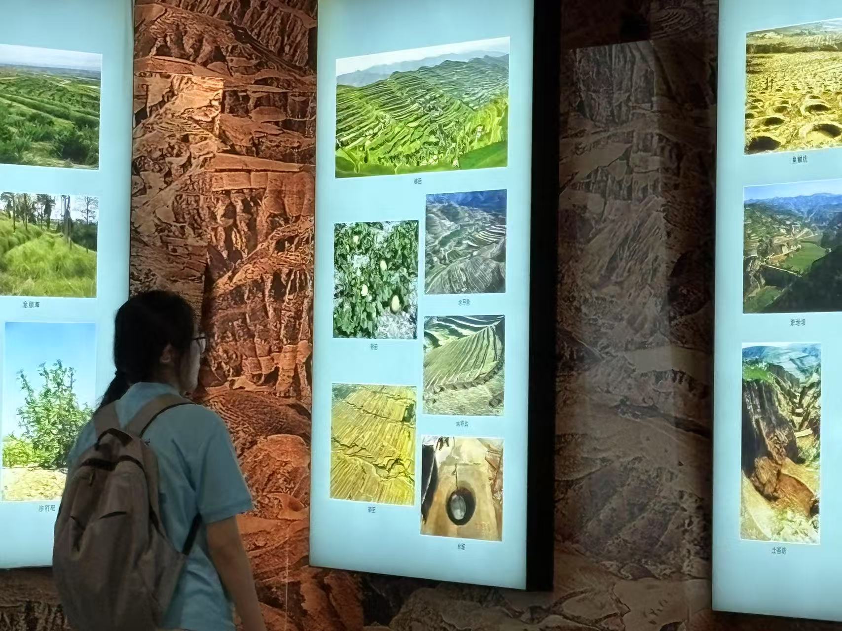 �ػ��ƺ���̬�������ഺ����