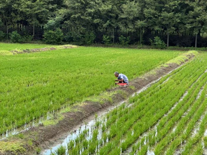 �Ͼ��ƾ���ѧ���ѧԺ�����ּμǡ��Ŷ�����������ִ�