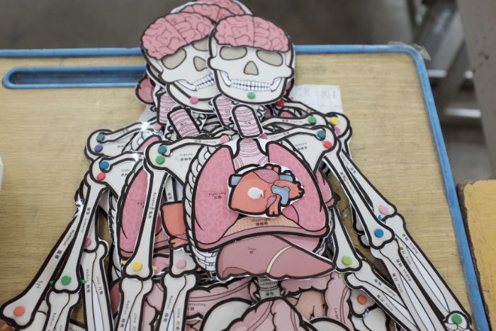 �ϻ�ѧ�Ӳ���ҽѧ���� Ȥζ������õ������ͯ��