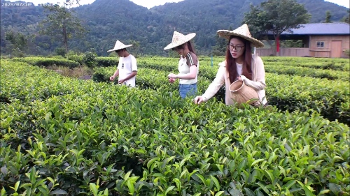 ��������ʵ����̽�أ����Ų���������������ƪ