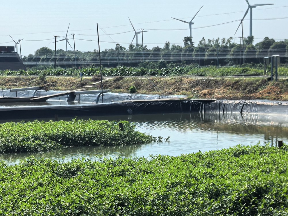 �ϲ�з����ˮʵ���Ŷӣ��۽��պ�зֳ�������������