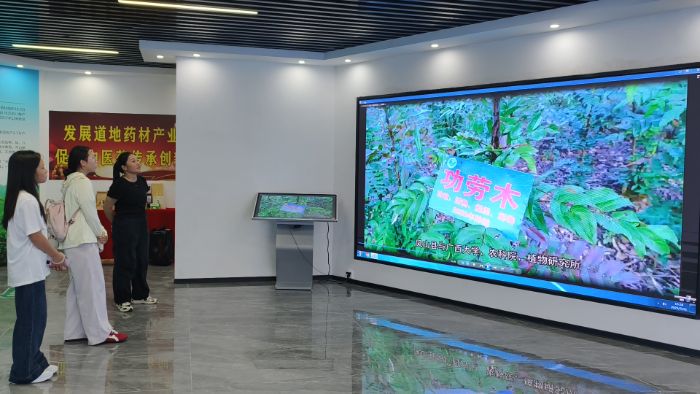 图为十大功劳木示范区负责人通过智慧大屏为团队成员介绍基地情况 张君 供图