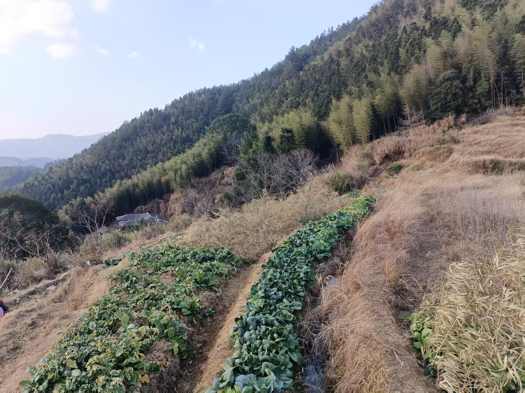 ����ʮһʡ��Ұ����ͱ�������ͼ����������Ժ��ҩ��������ʵ���ӵ��ഺ���