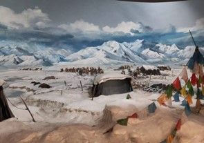 Ѱ��Ӣģ�㼣 ��ֲ�ҹ��黳���ĳ�ѧ���߽��׷�ɭ����ݿ�չ��ɫ��ѧ�