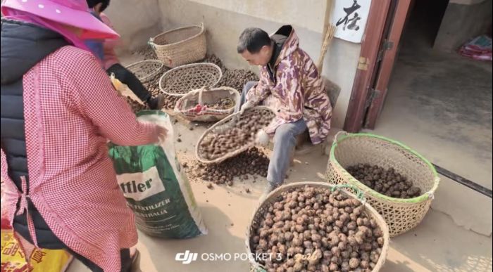 �������֧�顱��������ζ�����ϲƾ�������ѧ���ʵ���Ŷ�̽��ë����ֱ����ũ��ͼ��