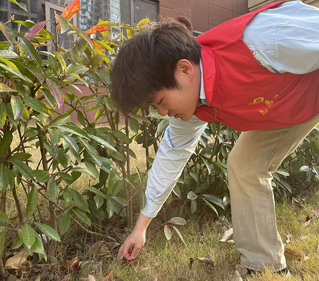 �����������࣬�ػ���ɫ��԰