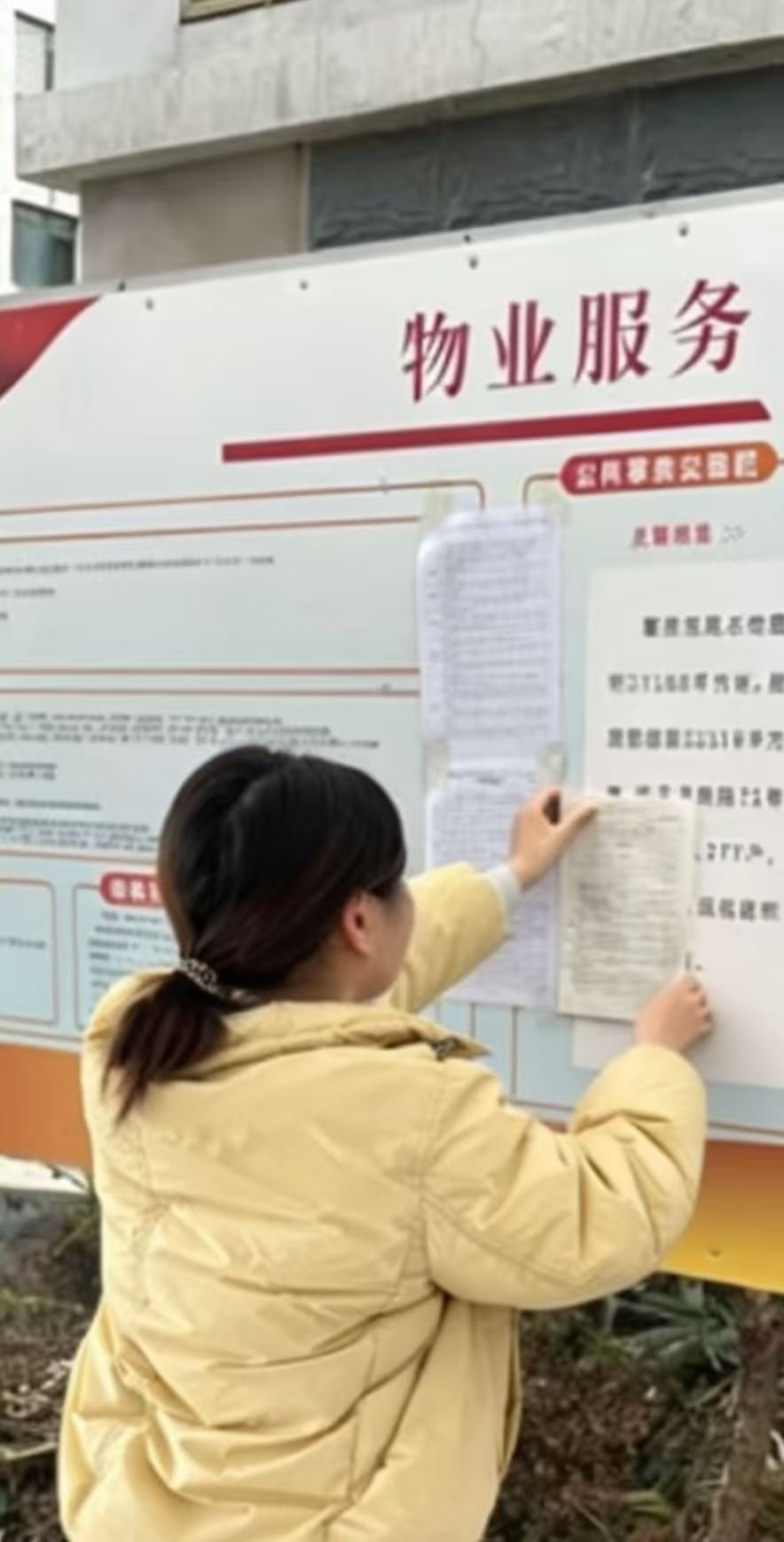 ���ഺ֮����������֮Լ|����ѧ�Ӹ�����ʡͭ���п�չ���ʵ���