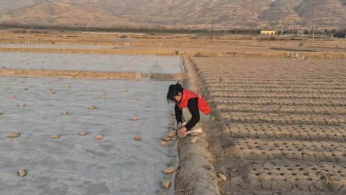 �ٺϻ���ʵ�ص��� ������������ũ������