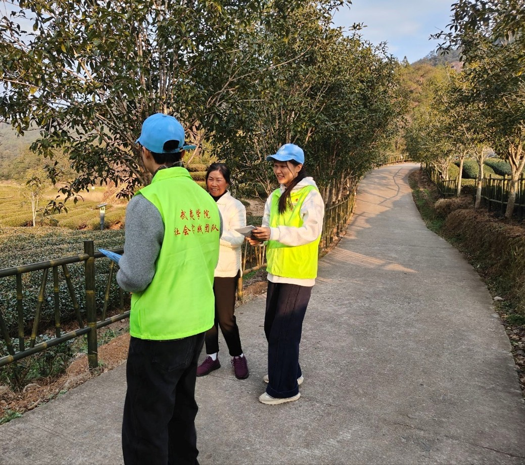 ��������������񽽲��һƬ��Ҷ�ġ���ɫ���롱