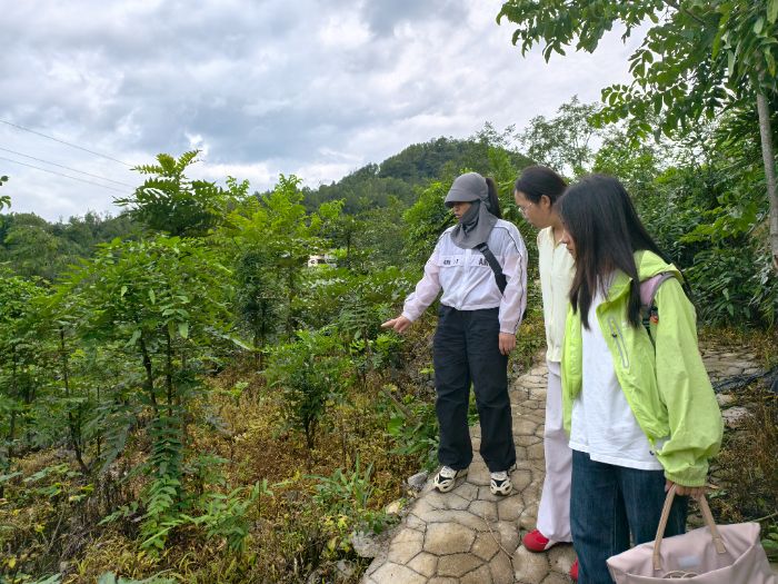 图为团队成员与十大功劳木示范区负责人交谈 张君 供图