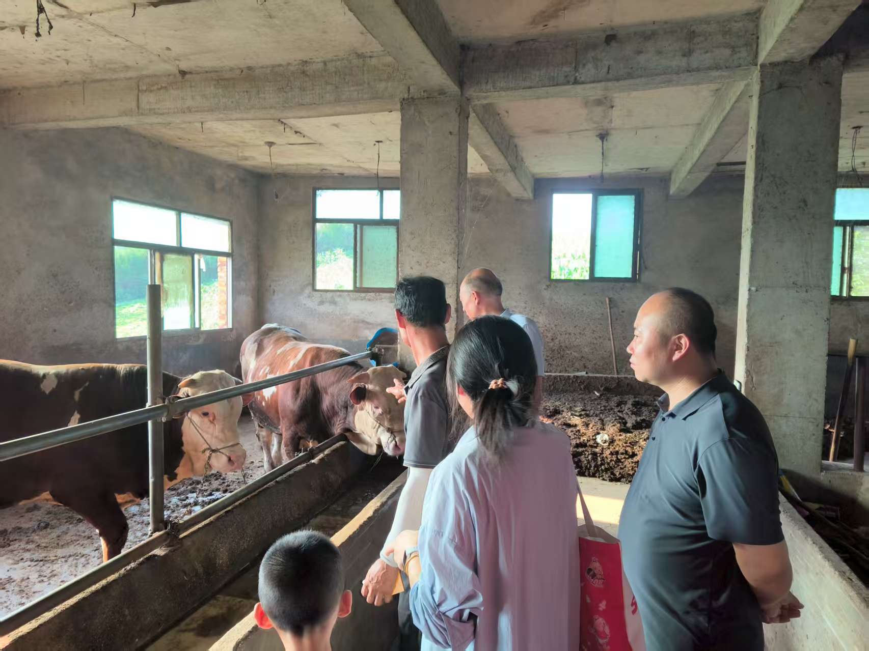 �ǽ����ܲ�ҵ�� �ഺ��������顪��������װ����ѧԺ���ǽ���ũ���������ʵ���Ű����м�ʵ